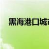 黑海港口城市塞瓦斯托波尔遭袭 2人死亡