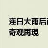 连日大雨后西湖边现“群鱼乱舞” 鱼跃龙门奇观再現