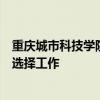 重庆城市科技学院校长黄宗明：要在你擅长和感兴趣的领域选择工作