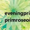 eveningprimroseoil一天吃几颗（eveningprimroseoil）