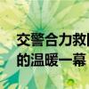 交警合力救回积水中被冲走的外卖员 暴雨中的温暖一幕