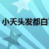 小夭头发都白了 粉丝泪盼7月8日《长相思2》