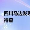 四川马边发现3米高巨型乌木被暂扣 来源成谜待查