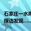 石家庄一水库出现密密麻麻的白色物质？记者探访发现……