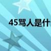 45骂人是什么意思（骂人49天什么意思）