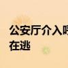 公安厅介入呼和浩特一村5人遇害案 嫌疑人仍在逃