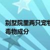 别墅院里两只宠物犬被投毒致死 警方在邻居衣服口袋检出剧毒物成分