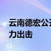 云南德宏公开销毁毒品5.26吨 国际禁毒日强力出击