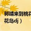 郭靖来到桃花岛dj歌曲怎么下载（郭靖来到桃花岛dj）