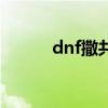 dnf撒共一样的宠物（dnf撒共）