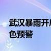 武汉暴雨开启“看海模式” 多地发布暴雨蓝色预警