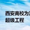 西安高校为深中通道贡献智慧力量 科技点亮超级工程