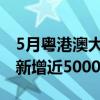 5月粤港澳大湾区“跨境理财通”个人投资者新增近5000人