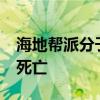 海地帮派分子在西部省发动袭击 已致20余人死亡