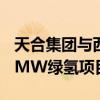 天合集团与西班牙Arbro集团将合作开发160MW绿氢项目