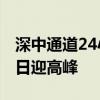 深中通道24小时车流量超12.5万车次 通车首日迎高峰