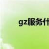 gz服务什么意思（gzs是什么服务）