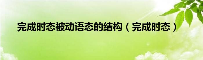 完成时被动语态的表达式（完成时被动语态的用法）