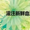 灌注新鲜血液（鲜血灌注一个人怎么做）