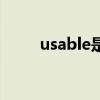 usable是什么意思中文（usable）