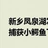 新乡凤泉湖发现鳄鱼事件属实 公安追踪到被捕获小鳄鱼下落