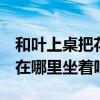 和叶上桌把花花挤翻在地  花总：在哪摔倒就在哪里坐着吧