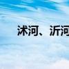 沭河、沂河分别发生2024年第1号洪水