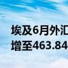 埃及6月外汇储备净额从5月的461.26亿美元增至463.84亿美元