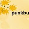 punkbuster踢出（punkbuster）