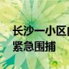 长沙一小区内流浪狗攻击多人 警方与捕狗队紧急围捕