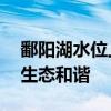 鄱阳湖水位上涨麋鹿被困多方救援 合力守护生态和谐