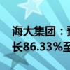 海大集团：预计2024年上半年净利润同比增长86.33%至100.06%