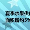 夏季水果供应量持续加大 今年全国西瓜种植面积增约5%