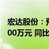 宏达股份：预计上半年净利润5000万元到6000万元 同比扭亏