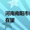 河南南阳市长王智慧拟任新职 省辖市委书记在望