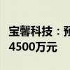 宝馨科技：预计上半年净利润亏损7500万至14500万元