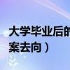 大学毕业后的档案放到哪里去（大学毕业后档案去向）