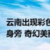 云南出现彩色蝴蝶漫天飞舞奇观：环绕在游人身旁 奇幻美丽