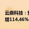 云鼎科技：预计上半年净利润7200万元同比增114.46%