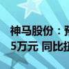 神马股份：预计2024年上半年净利润4842.15万元 同比扭亏为盈