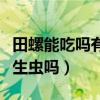 田螺能吃吗有寄生虫吗视频（田螺能吃吗有寄生虫吗）