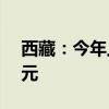 西藏：今年上半年技术合同成交金额8.74亿元