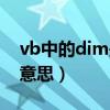 vb中的dim是定义什么的（vb中dim是什么意思）