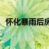 怀化暴雨后房屋倒塌?辟谣 散布谣言者受罚