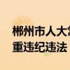 郴州市人大常委会副主任李黎明被查 涉嫌严重违纪违法