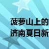 菠萝山上的“野生”音乐节 草地青春派对，济南夏日新宠