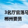 3名厅官落马：其中1人系主动投案，含长春、郴州要员