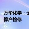 万华化学：子公司匈牙利宝思德化学公司装置停产检修