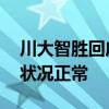 川大智胜回应股价涨停:原因没法判定，经营状况正常