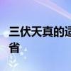 三伏天真的适合减肥吗？想减肥早餐一定不能省